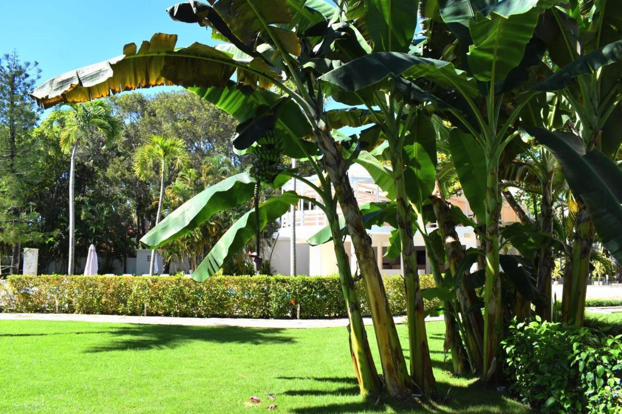 Tropical Casa Laguna Cabarete Dış mekan fotoğraf